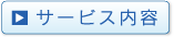 �T�[�r�X���e