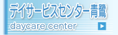 �f�C�T�[�r�X�Z���^�[��