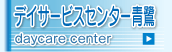 �f�C�T�[�r�X�Z���^�[��