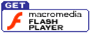 flash player